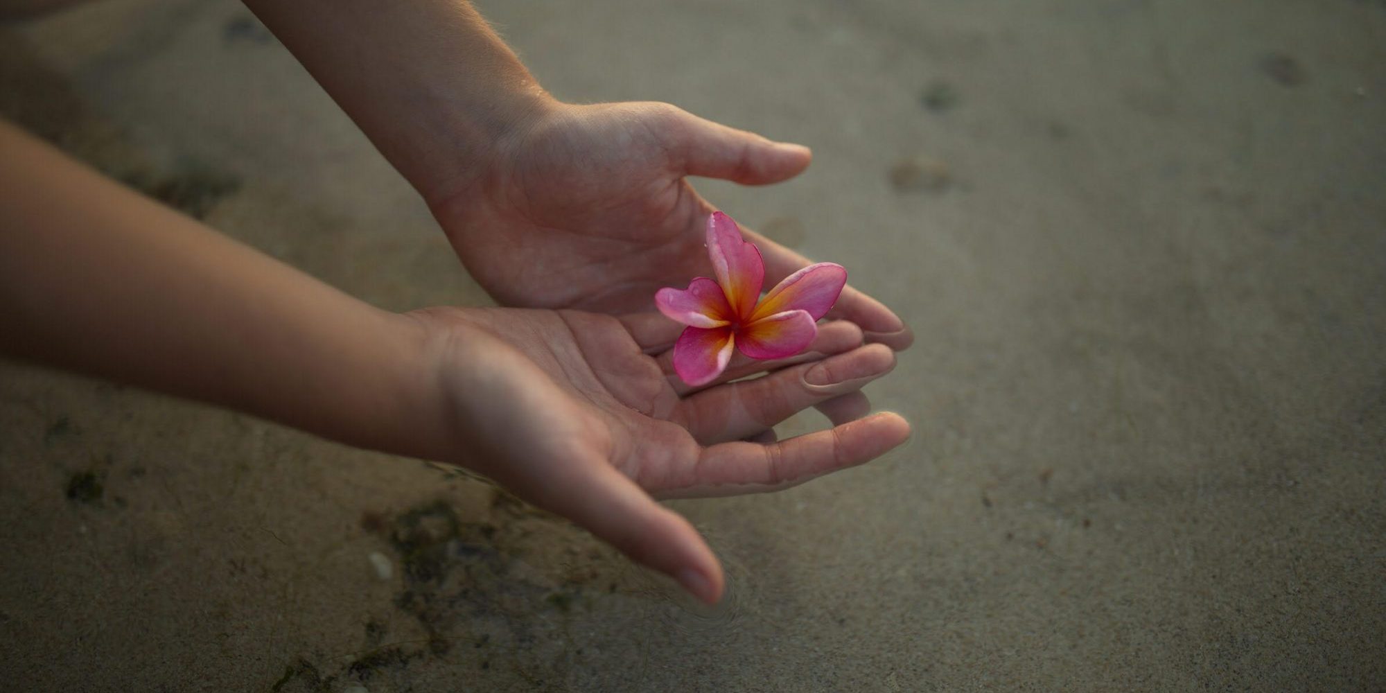 6.flor
