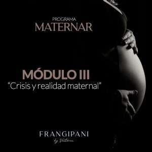 Maternar módulo 3: Crisis y realidad maternal